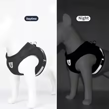 Harnais en maille pour animaux de compagnie avec laisse – Confortable et réglable pour chiens et chats
