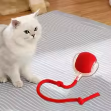 Jouet interactif intelligent pour chat – Balle roulante automatique avec fausse queue