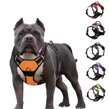 Harnais réfléchissant pour chien avec laisse réglable – Confortable et sûr pour les promenades en extérieur 